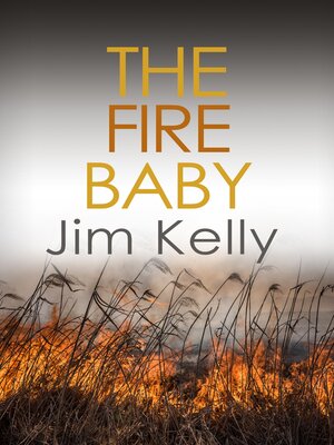 cover image of The Fire Baby